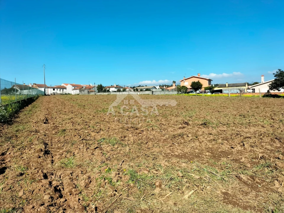 Terreno para Venda em Ovar, São João, Arada e São Vicente de Pereira Jusã Foto 4