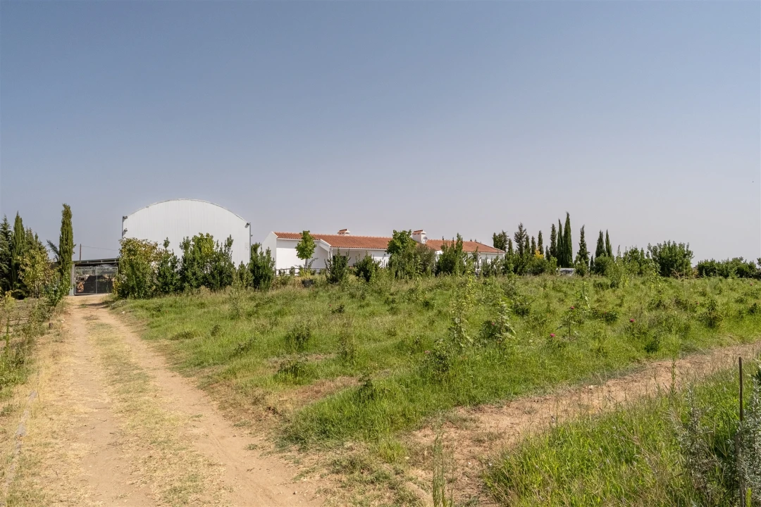 Quinta T4 para Venda em São Manços e São Vicente do Pigeiro Foto 38