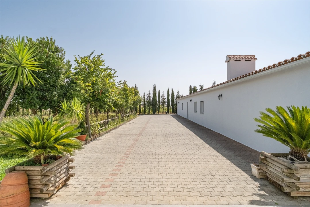 Quinta T4 para Venda em São Manços e São Vicente do Pigeiro Foto 35