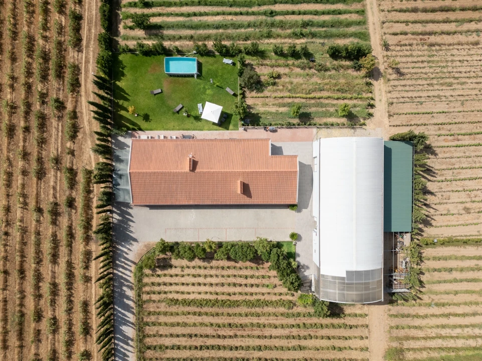 Quinta T4 para Venda em São Manços e São Vicente do Pigeiro Foto 3