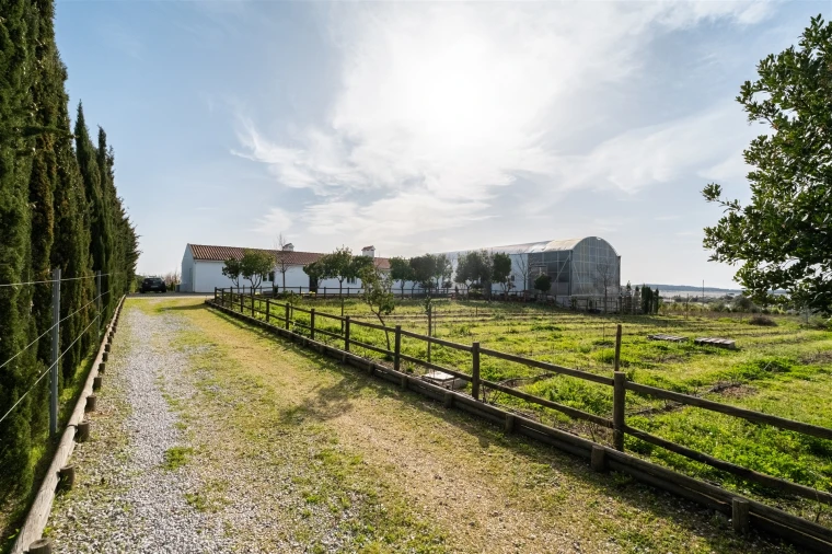 Quinta T4 para Venda em São Manços e São Vicente do Pigeiro Foto 46