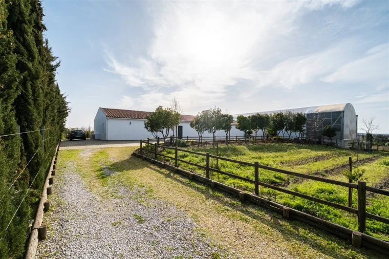 Quinta T4 para Venda em São Manços e São Vicente do Pigeiro Foto 47