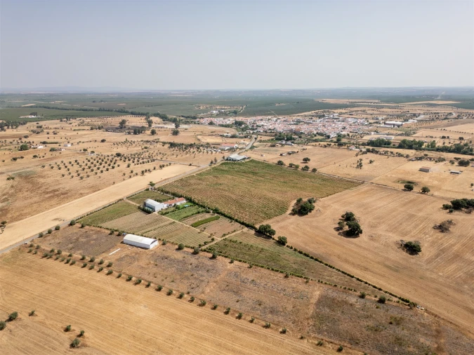 Quinta T4 para Venda em São Manços e São Vicente do Pigeiro Foto 5