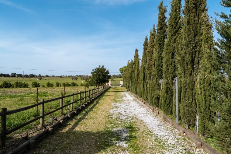 Quinta T4 para Venda em São Manços e São Vicente do Pigeiro Foto 48