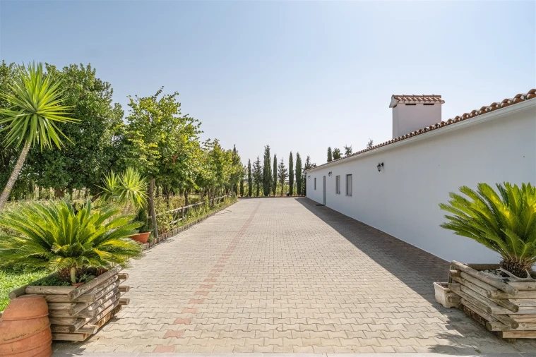 Quinta T4 para Venda em São Manços e São Vicente do Pigeiro Foto 35