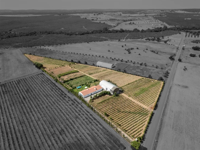 Quinta T4 para Venda em São Manços e São Vicente do Pigeiro Foto 8