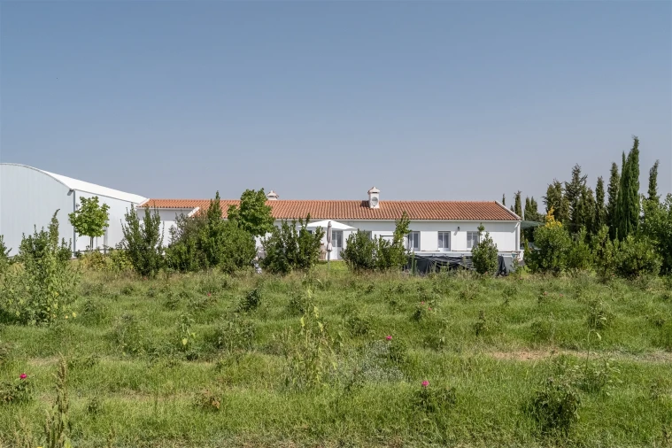 Quinta T4 para Venda em São Manços e São Vicente do Pigeiro Foto 39