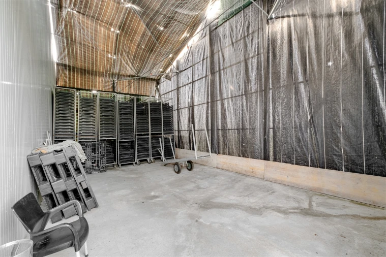 Quinta T4 para Venda em São Manços e São Vicente do Pigeiro Foto 30