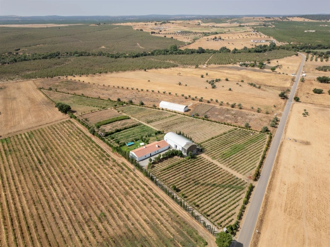 Quinta T4 para Venda em São Manços e São Vicente do Pigeiro Foto 7