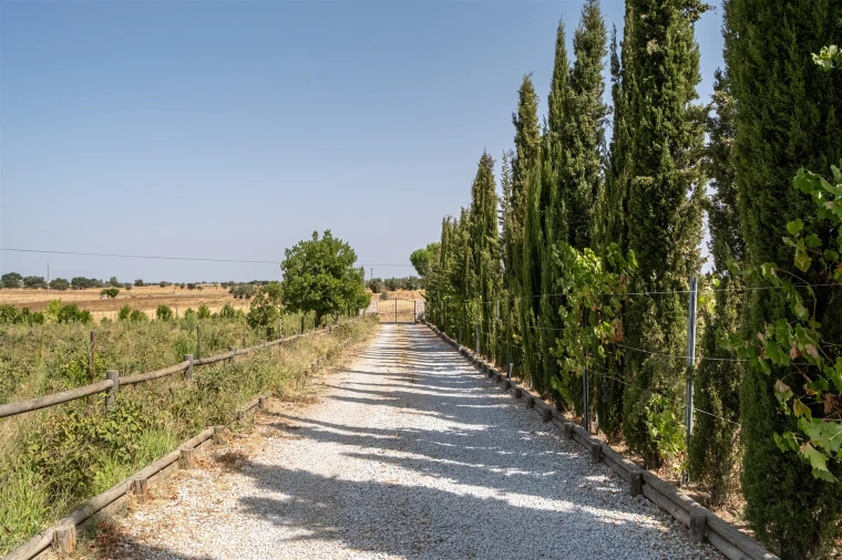 Quinta T4 para Venda em São Manços e São Vicente do Pigeiro Foto 40