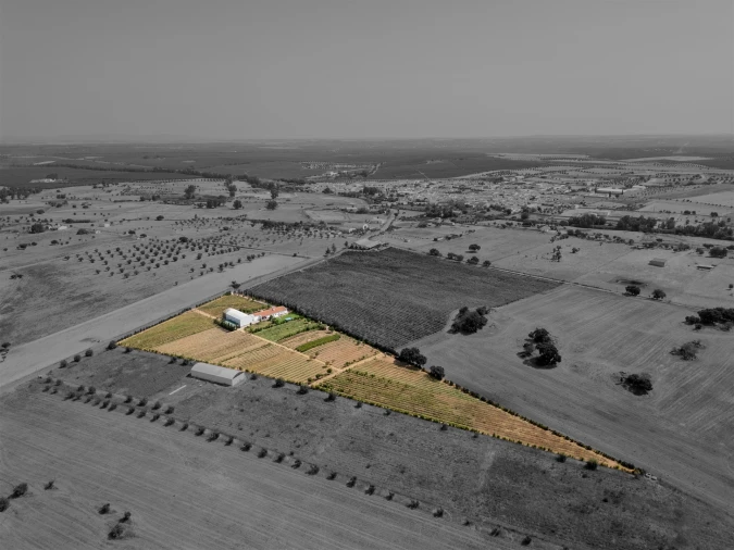 Quinta T4 para Venda em São Manços e São Vicente do Pigeiro Foto 6