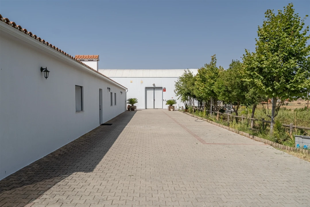 Quinta T4 para Venda em São Manços e São Vicente do Pigeiro Foto 32