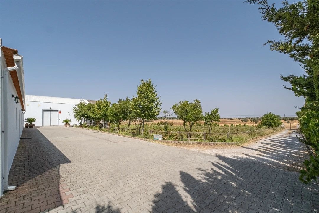 Quinta T4 para Venda em São Manços e São Vicente do Pigeiro Foto 34