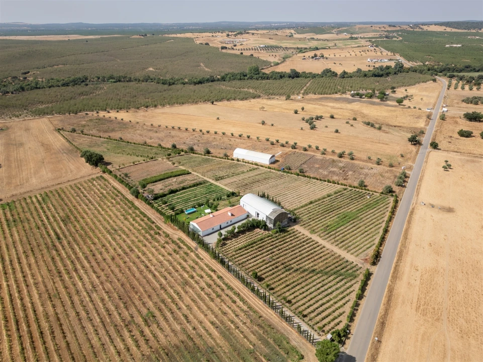 Quinta T4 para Venda em São Manços e São Vicente do Pigeiro Foto 7