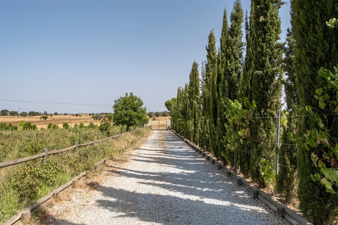 Quinta T4 para Venda em São Manços e São Vicente do Pigeiro Foto 40