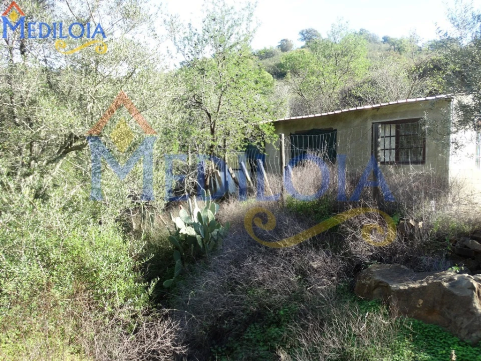 Terreno Agricola ou Rústico para Venda em Azinhal Foto 3