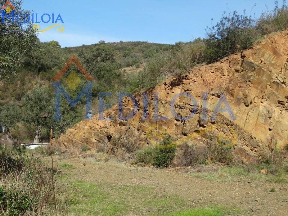 Terreno Agricola ou Rústico para Venda em Azinhal Foto 7