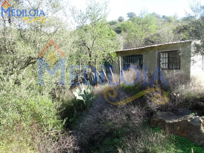 Terreno Agricola ou Rústico para Venda em Azinhal Foto 3