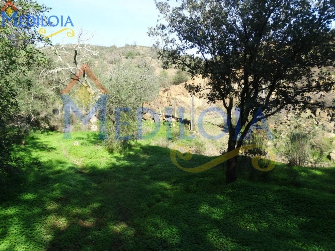 Terreno Agricola ou Rústico para Venda em Azinhal Foto 5