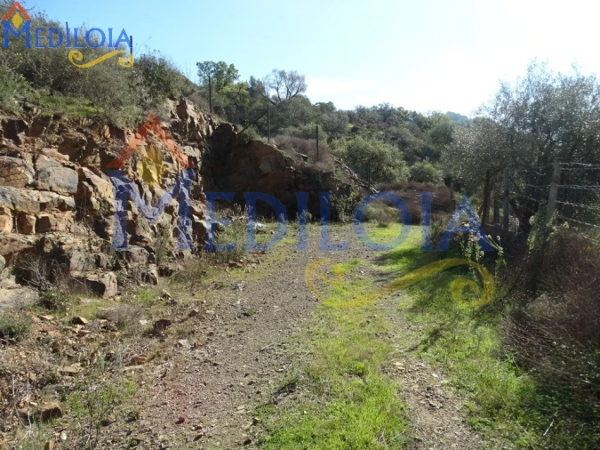Terreno Agricola ou Rústico para Venda em Azinhal Foto 6