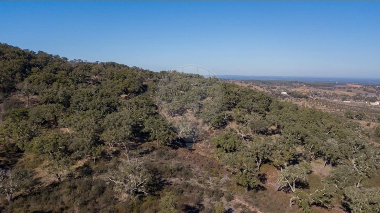 Quinta para Venda em Colos Foto 12