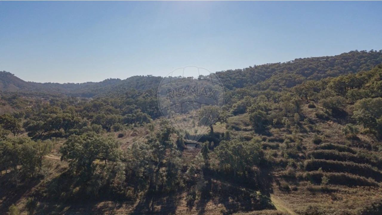 Quinta para Venda em Colos Foto 14