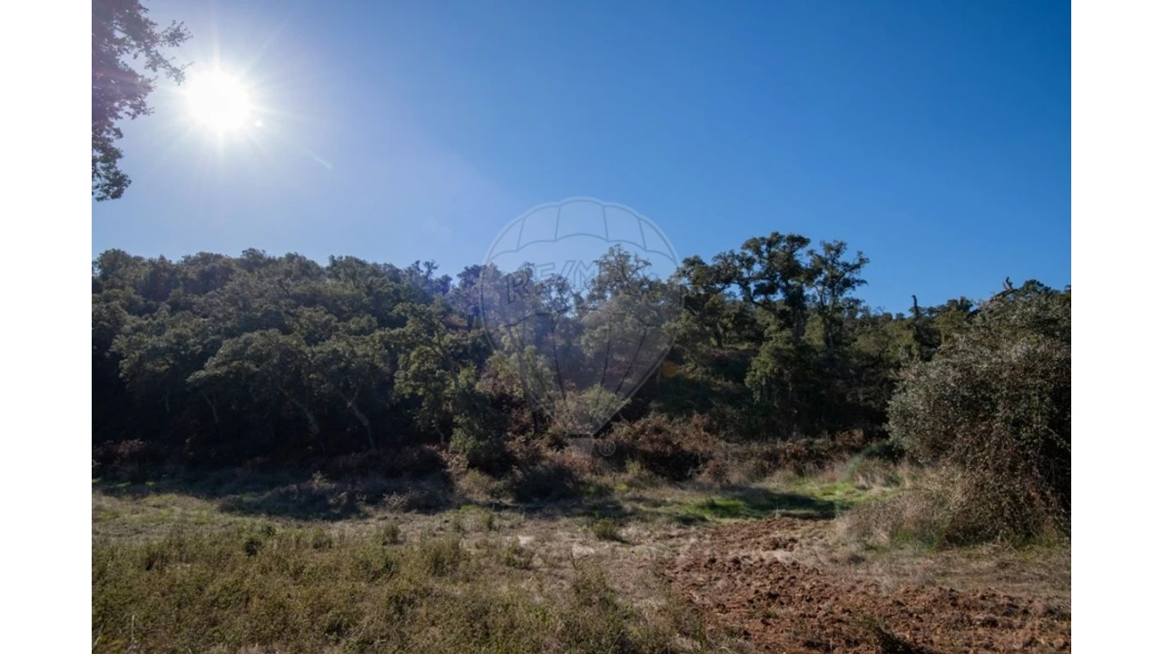 Quinta para Venda em Colos Foto 15