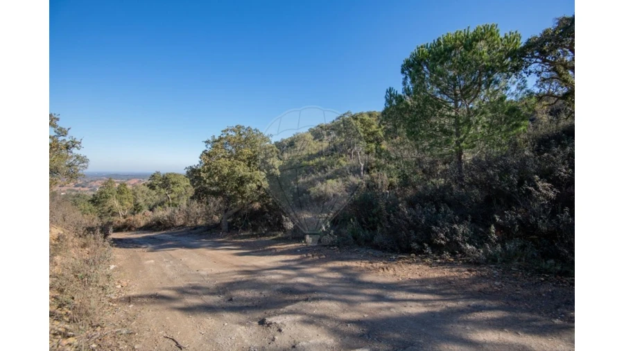 Quinta para Venda em Colos Foto 20