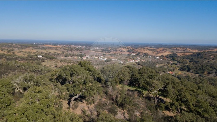 Quinta para Venda em Colos Foto 10