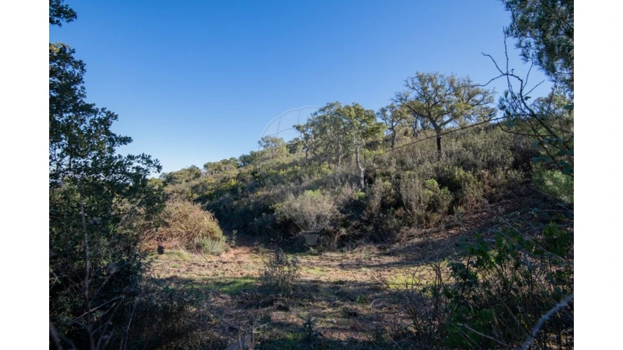 Quinta para Venda em Colos Foto 21