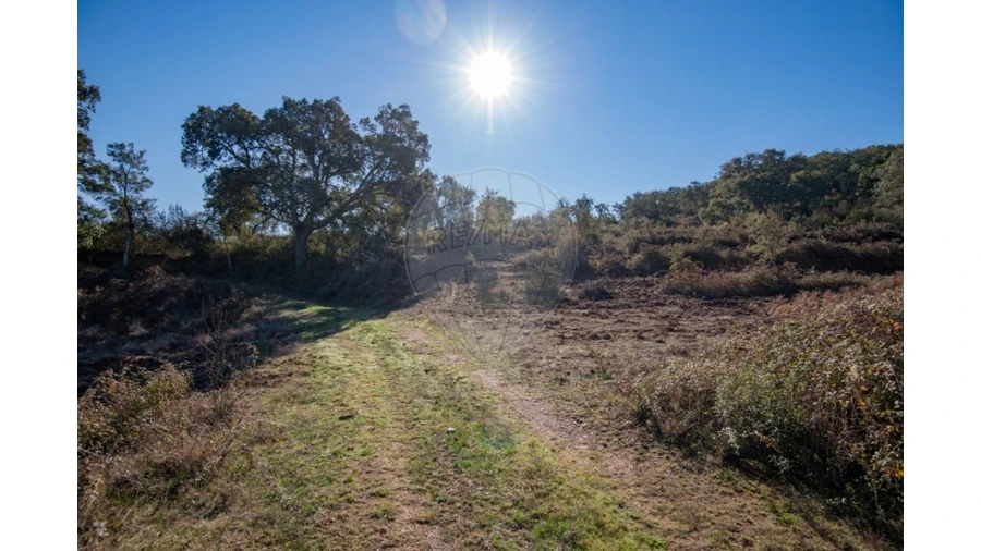 Quinta para Venda em Colos Foto 16