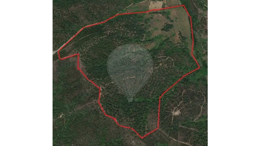 Quinta para Venda em Colos Foto 3