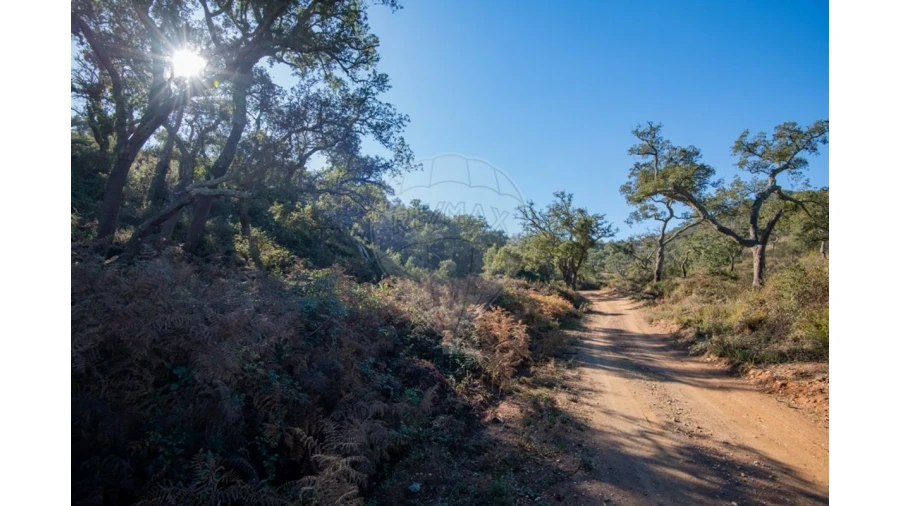 Quinta para Venda em Colos Foto 18