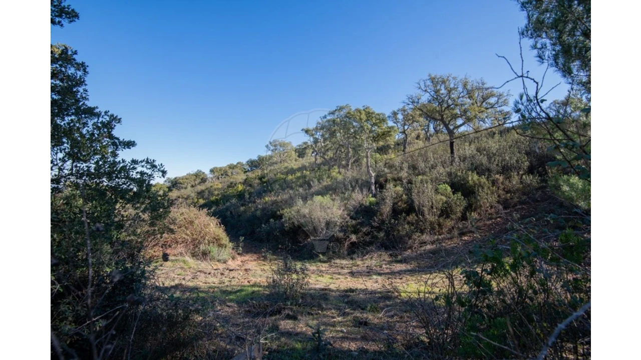 Quinta para Venda em Colos Foto 21