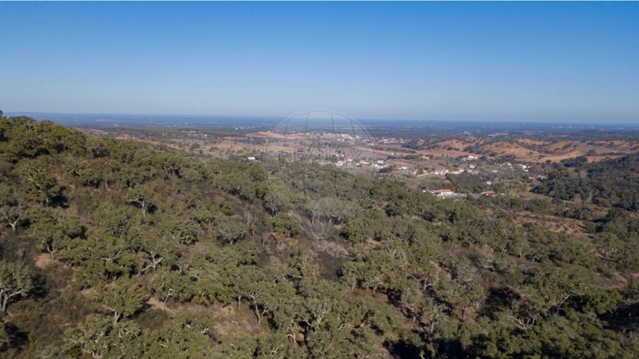 Quinta para Venda em Colos Foto 9