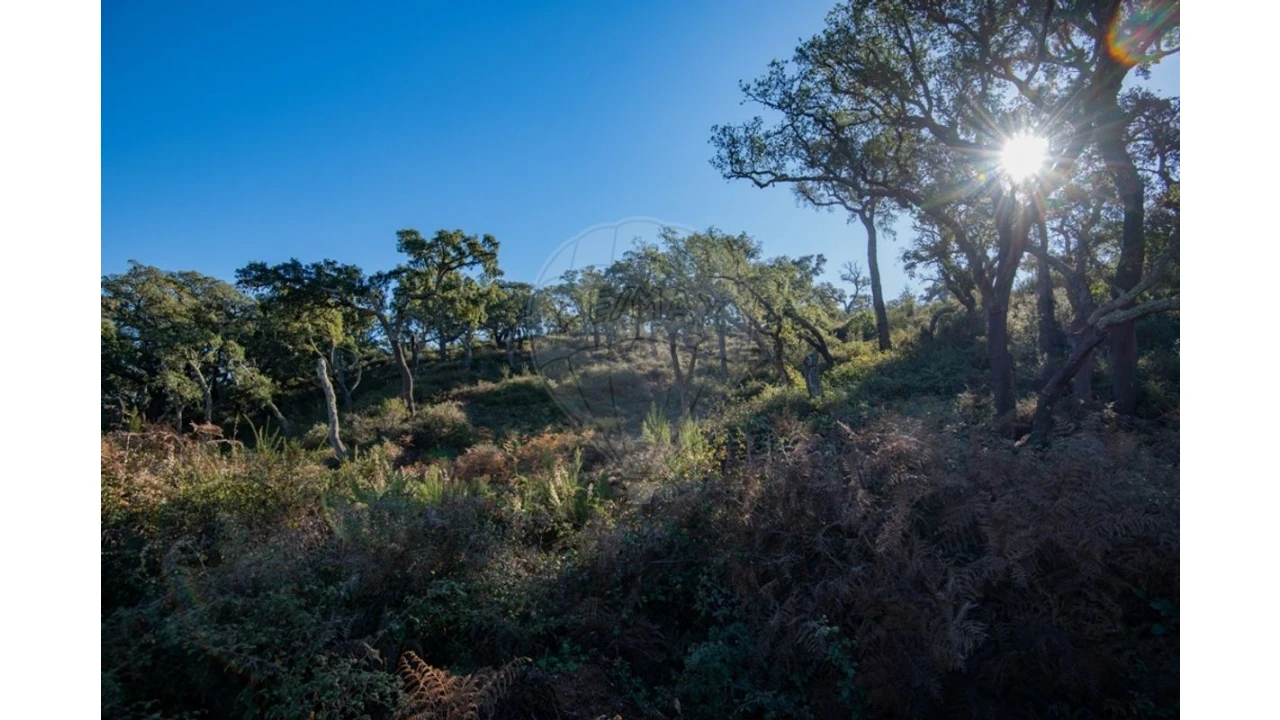 Quinta para Venda em Colos Foto 17