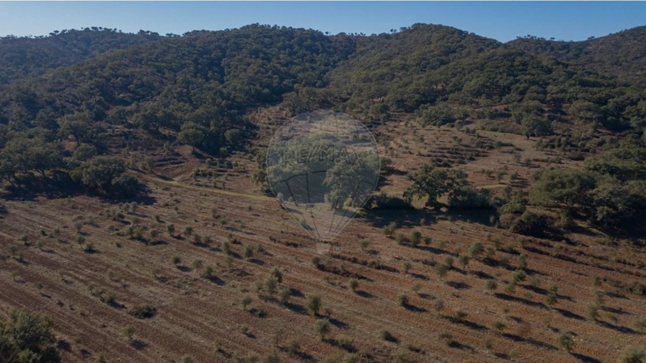 Quinta para Venda em Colos Foto 6