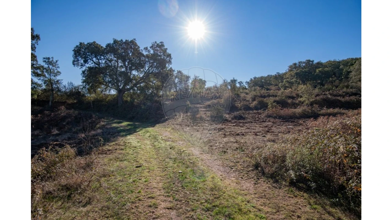 Quinta para Venda em Colos Foto 16