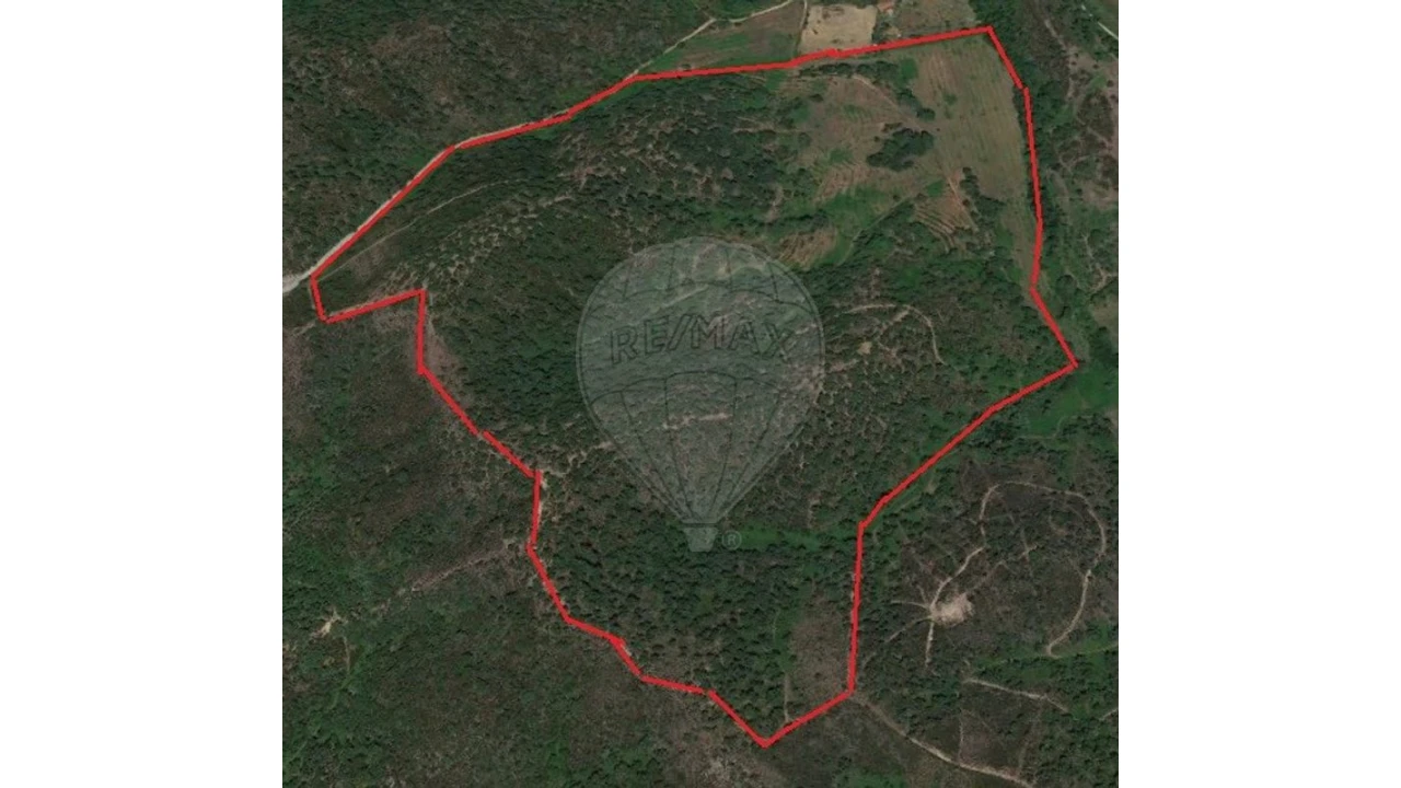 Quinta para Venda em Colos Foto 3