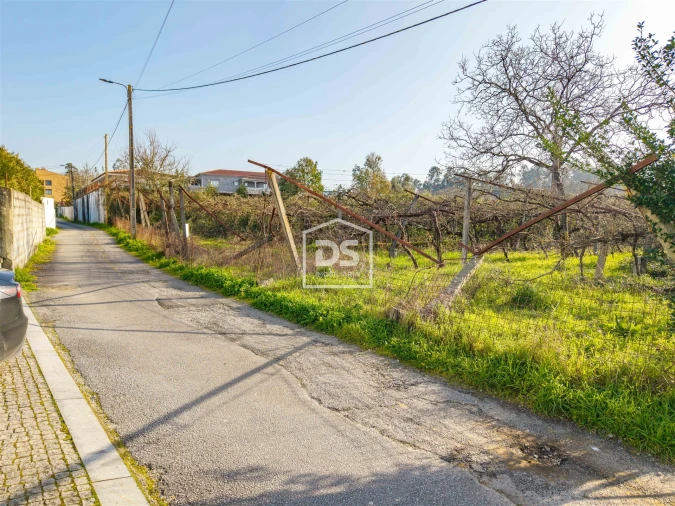 Terreno para Venda em Paredes Foto 9