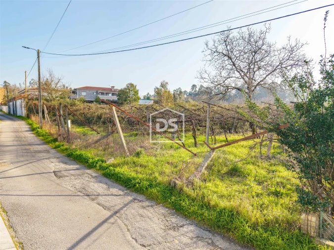 Terreno para Venda em Paredes Foto 10