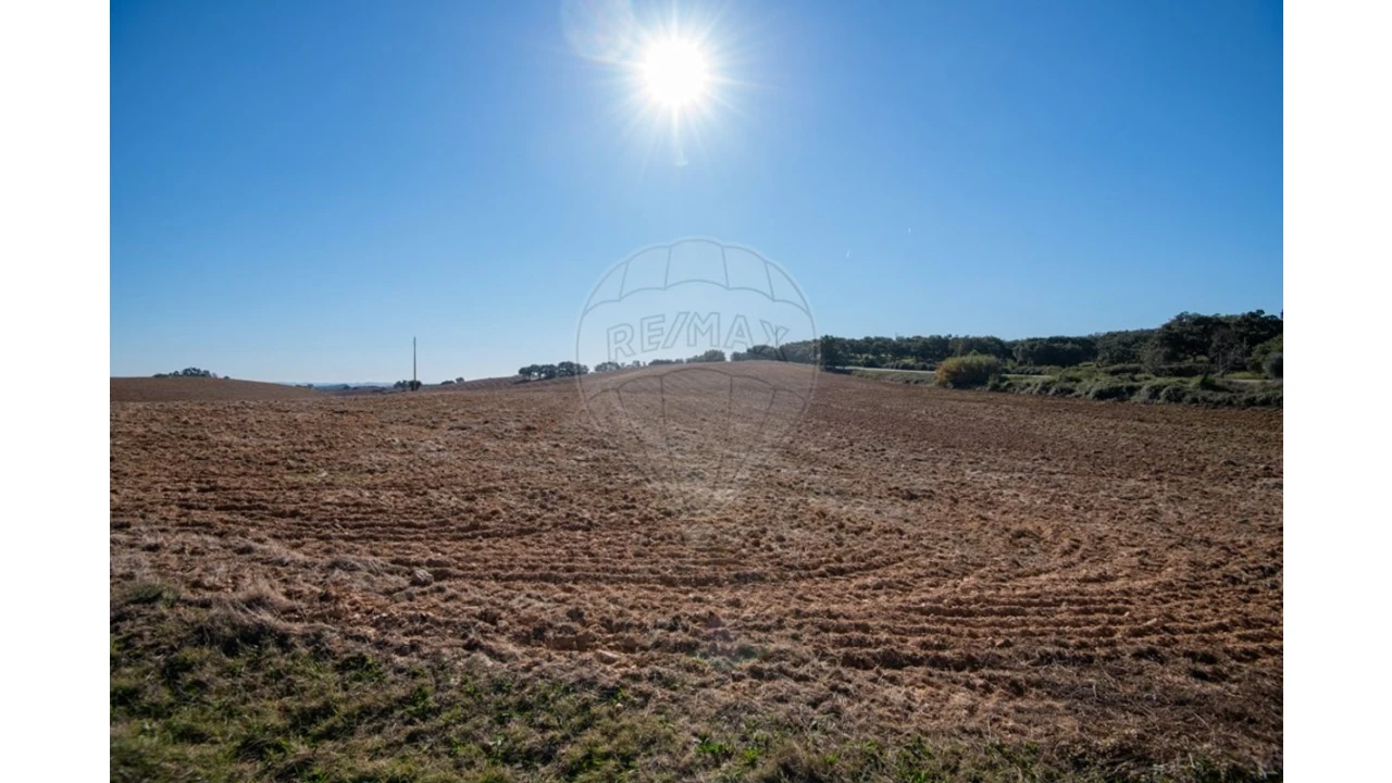 Terreno para Venda em Cercal Foto 16