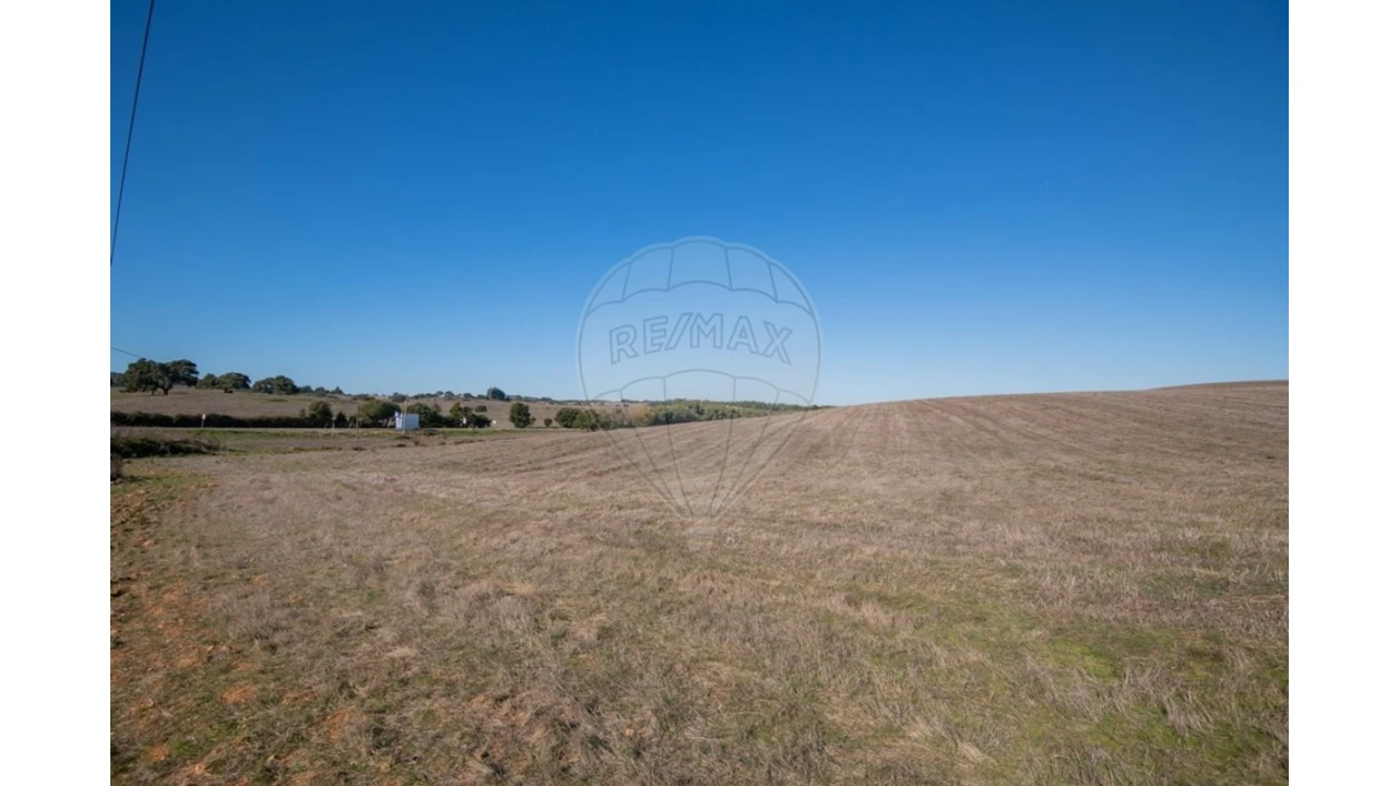 Terreno para Venda em Cercal Foto 15