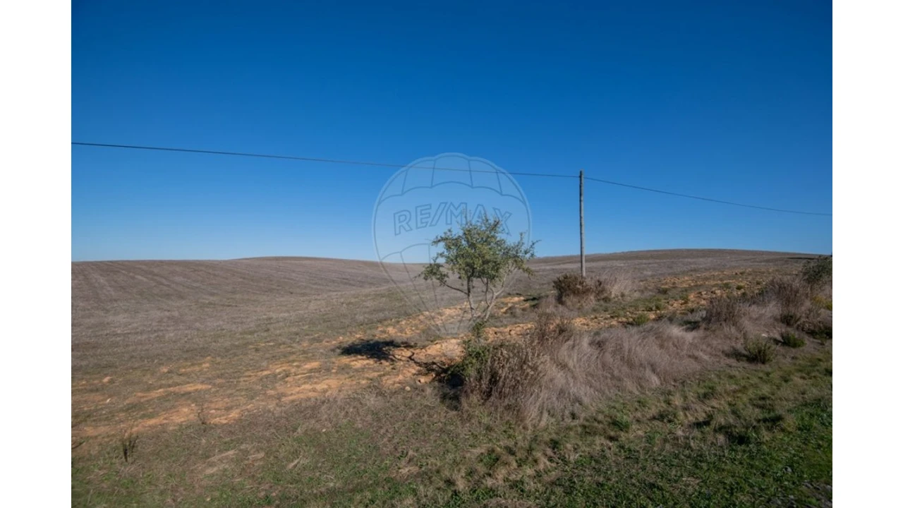 Terreno para Venda em Cercal Foto 12