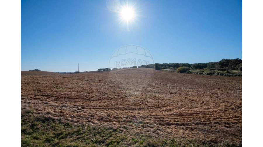 Terreno para Venda em Cercal Foto 16