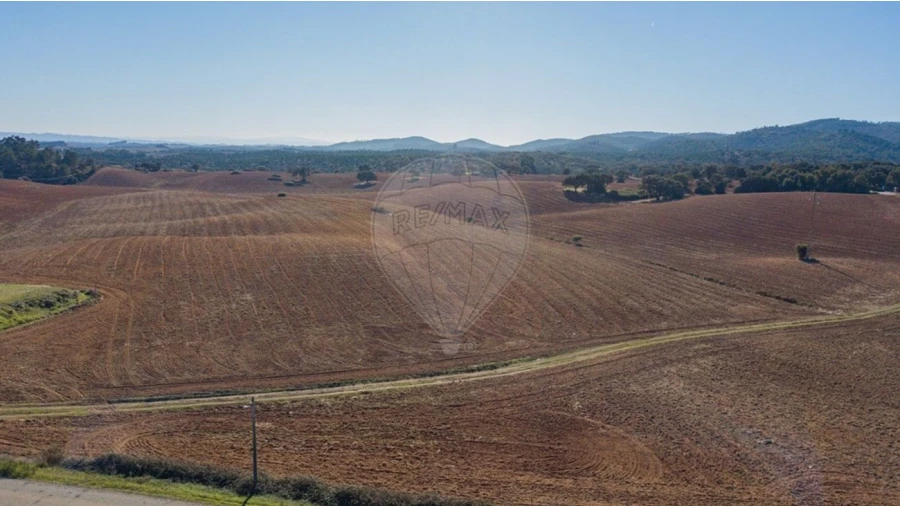 Terreno para Venda em Cercal Foto 4