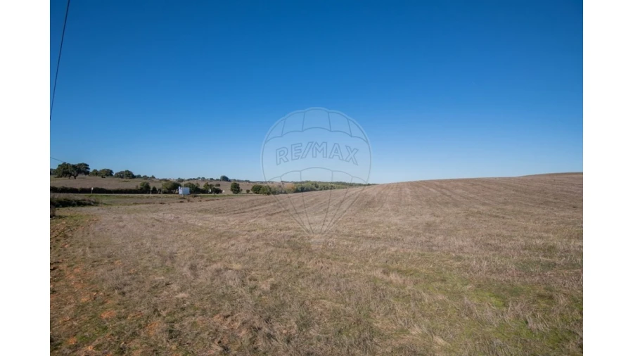 Terreno para Venda em Cercal Foto 15