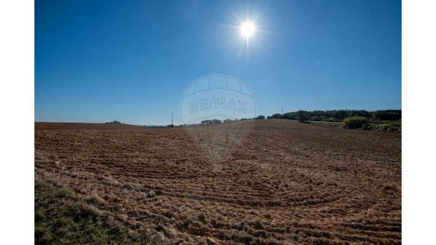 Terreno para Venda em Cercal Foto 11