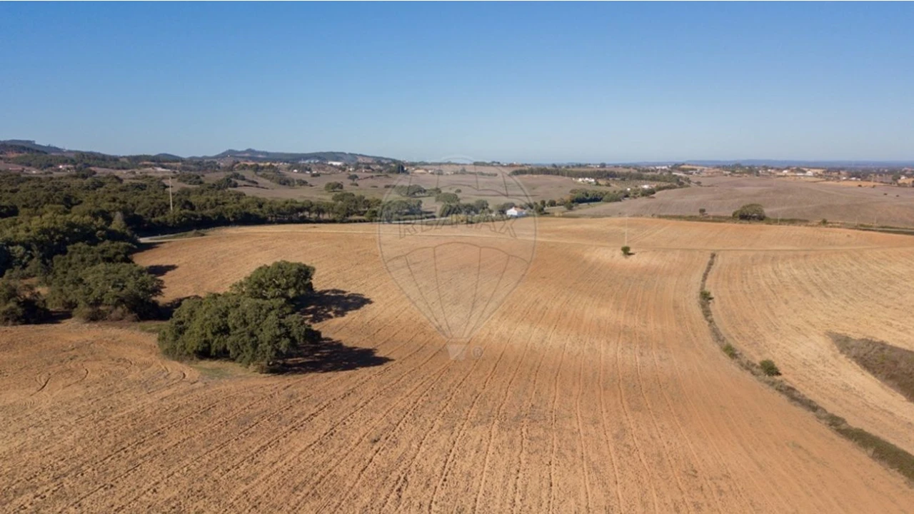 Terreno para Venda em Cercal Foto 1