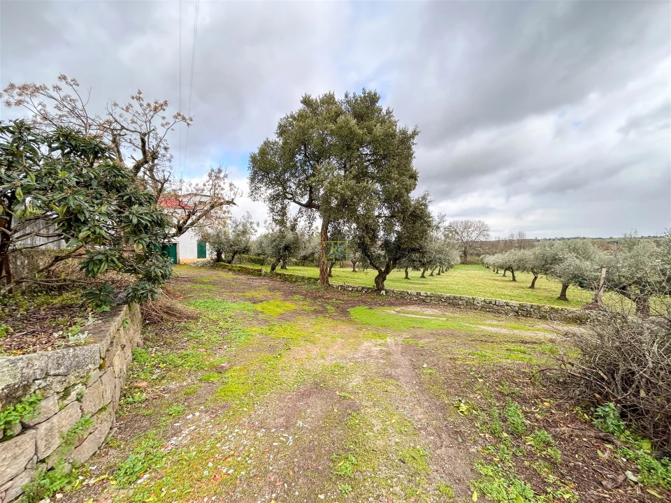 Quinta T3 para Venda em Castelo Branco Foto 21